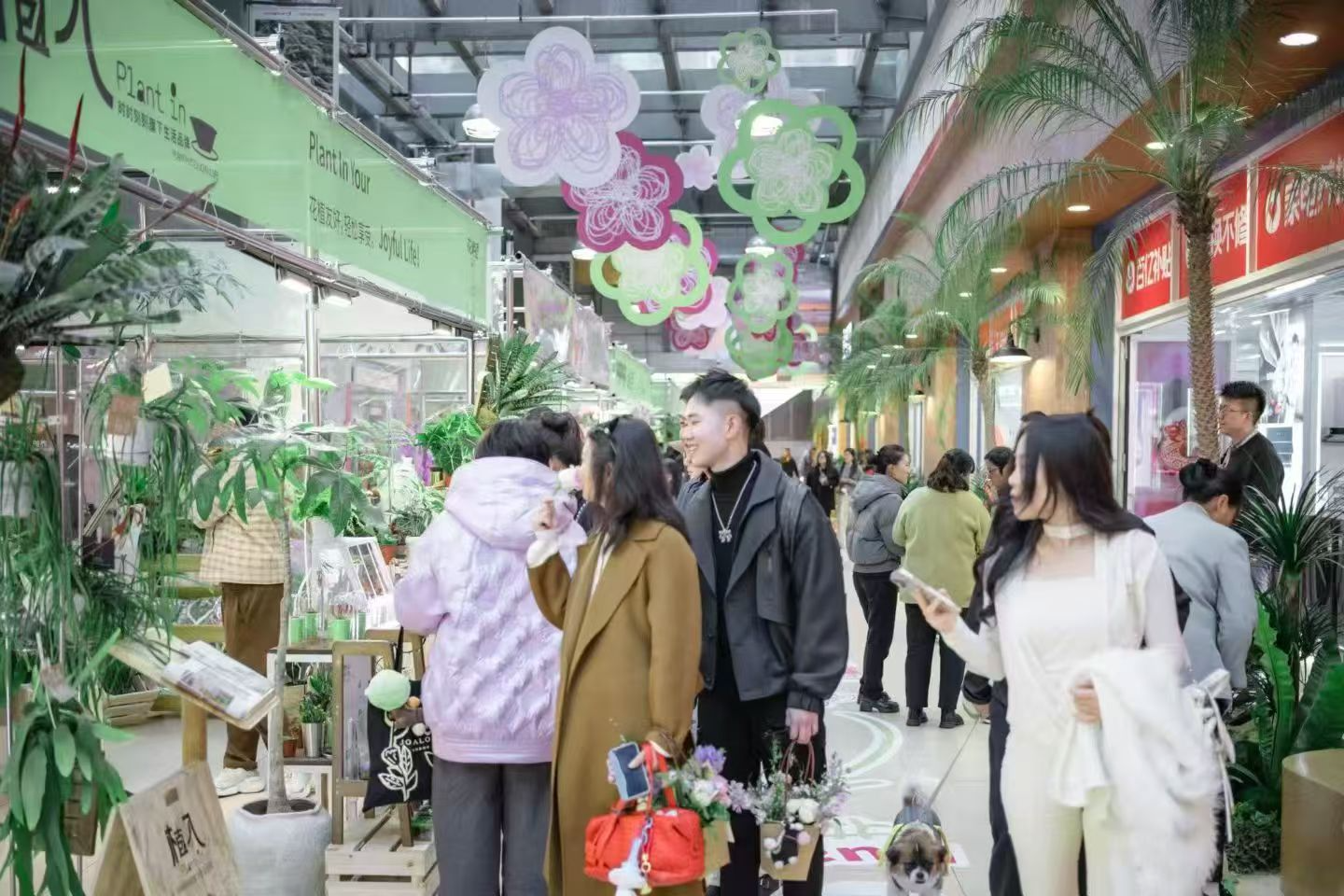 6acd567cf765a58032162e713991b7c2