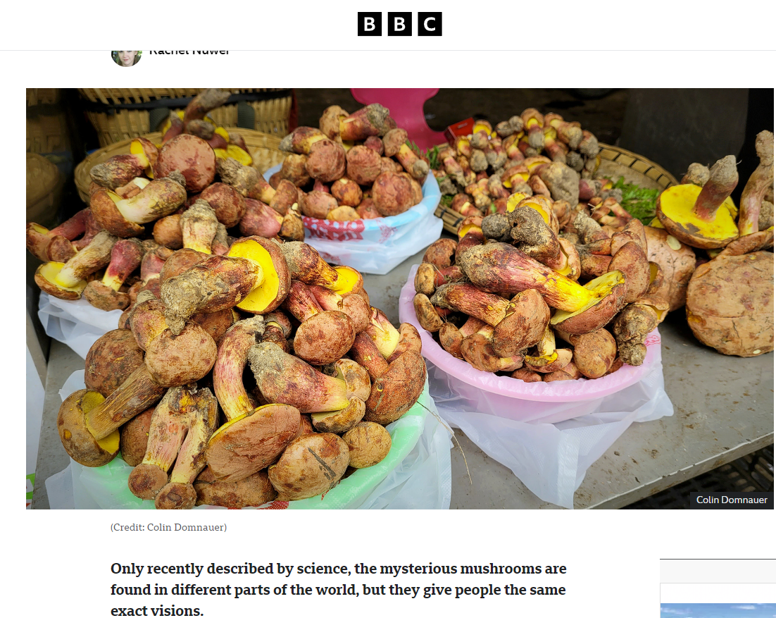 02dfcba4745ba5a0614bfad189f1a59e