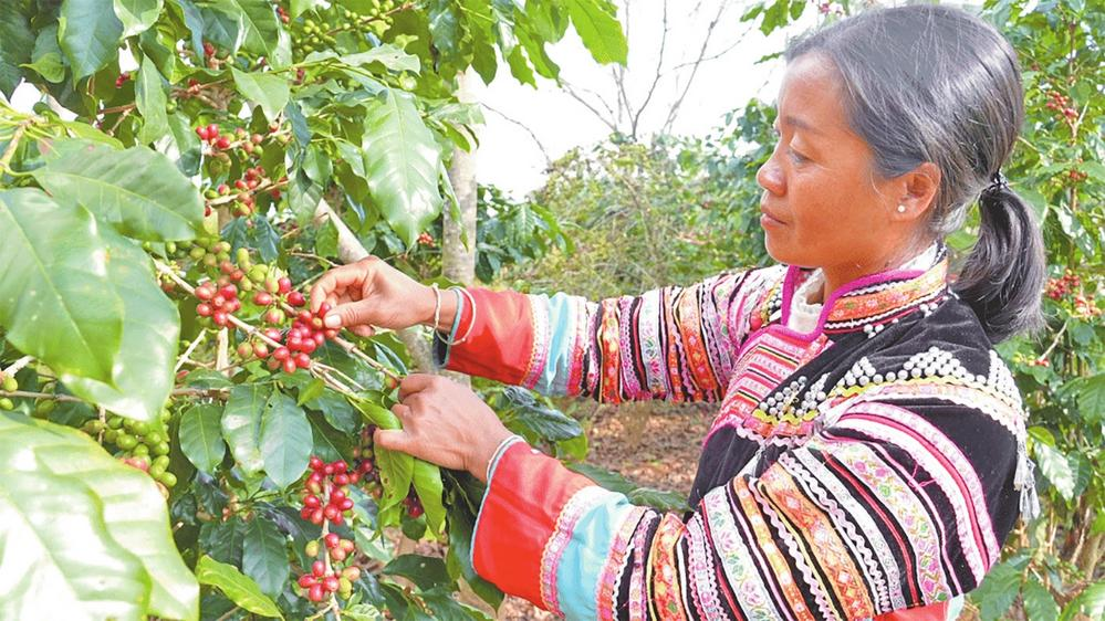 4bf7148d50b02a4457bf4de8a84cf868