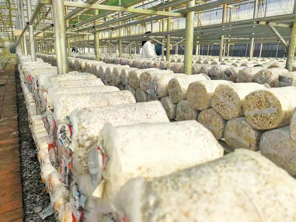 ccaf37e466f3a809b39e864575016a3b