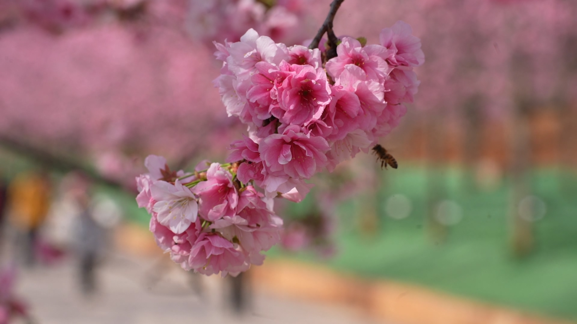 777dea53bd831c8ae0fda47fe9d1f979