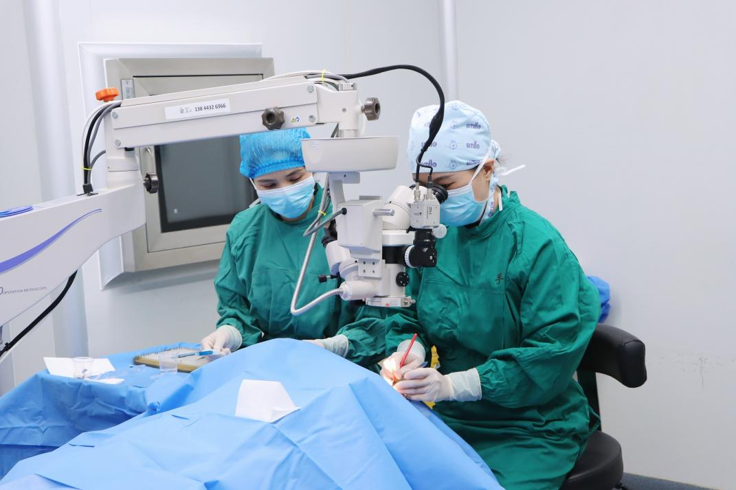 497811d7a7a698906d98973ab4999665