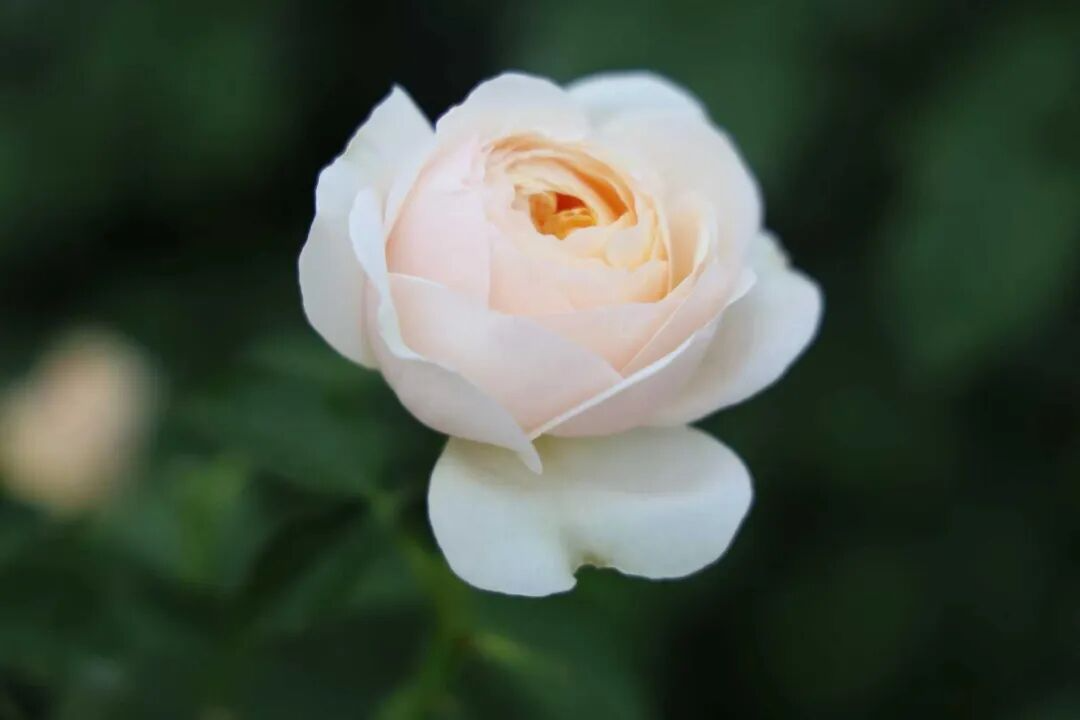 f42e2feb3d53393b596b41b61d10dfc7